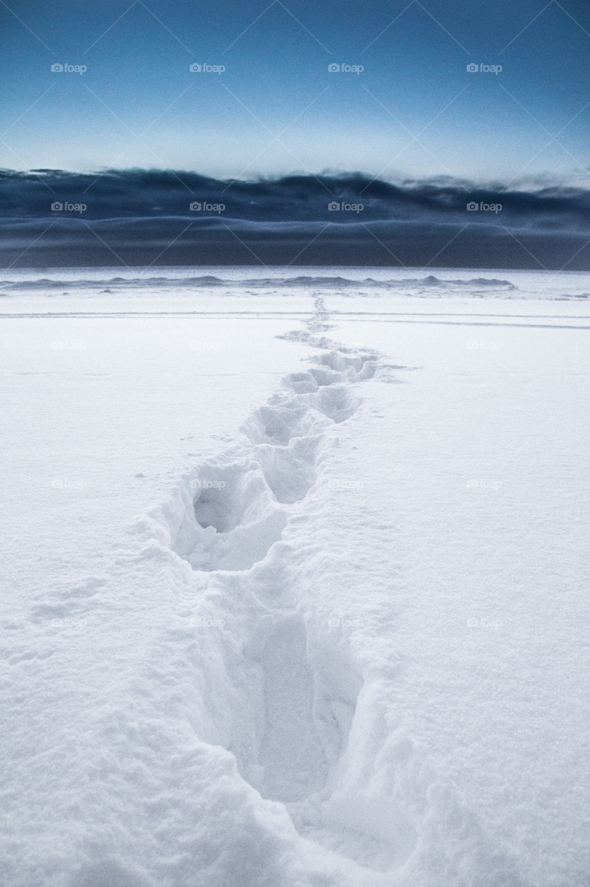 Winter, Beach, Water, Landscape, Sea