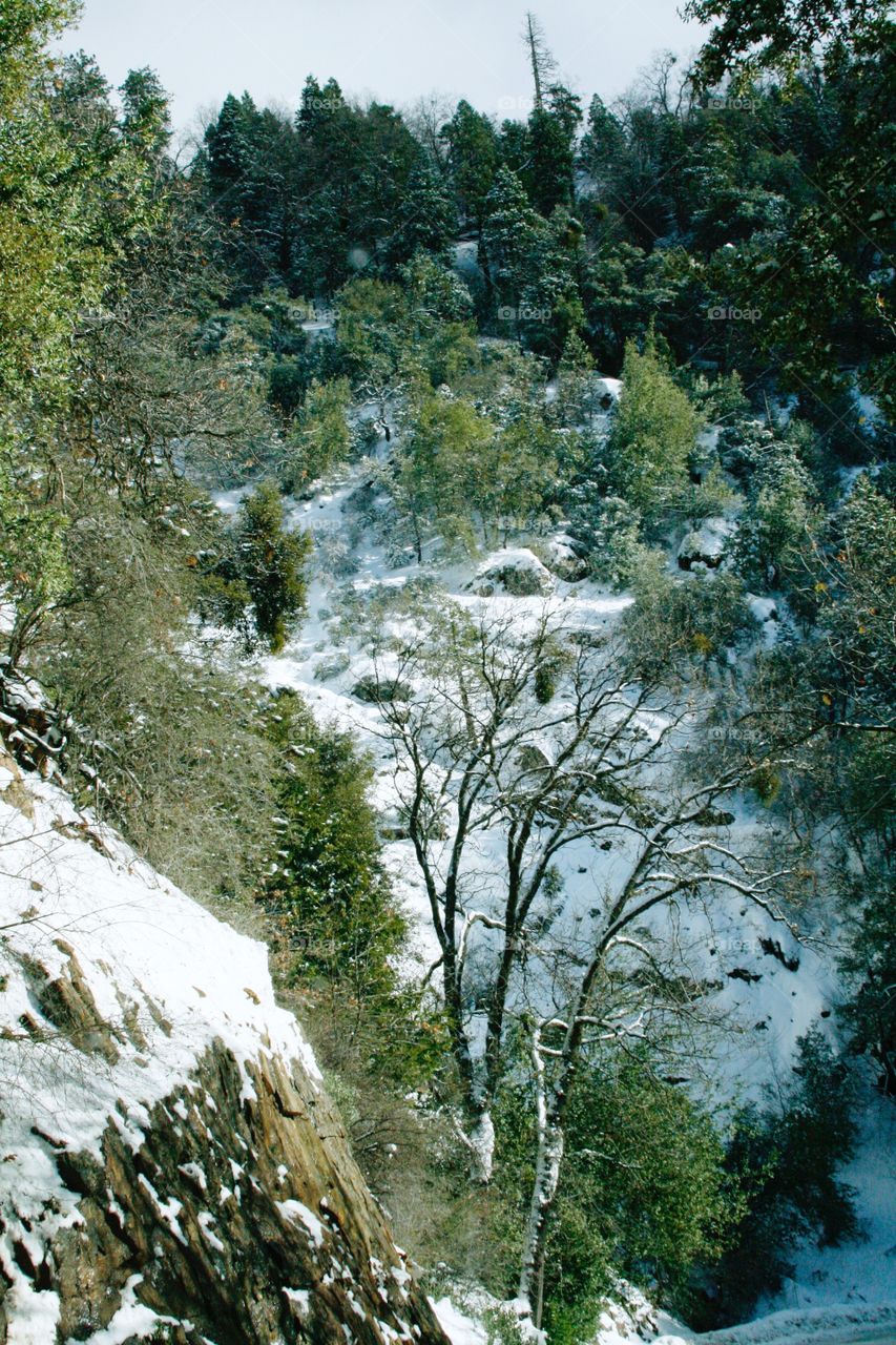 Winter mountain landscape 