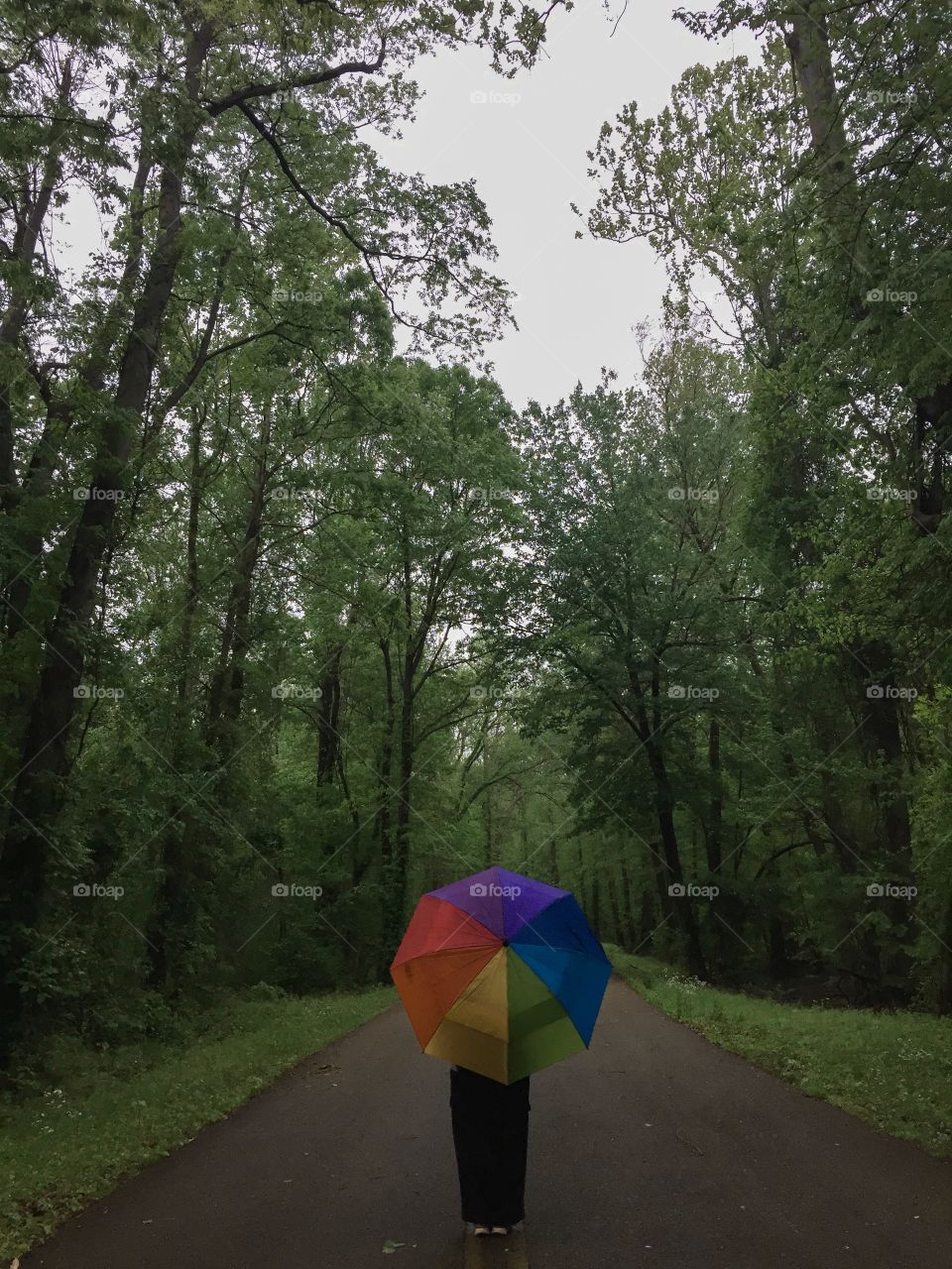 Umbrella Nature Walk 