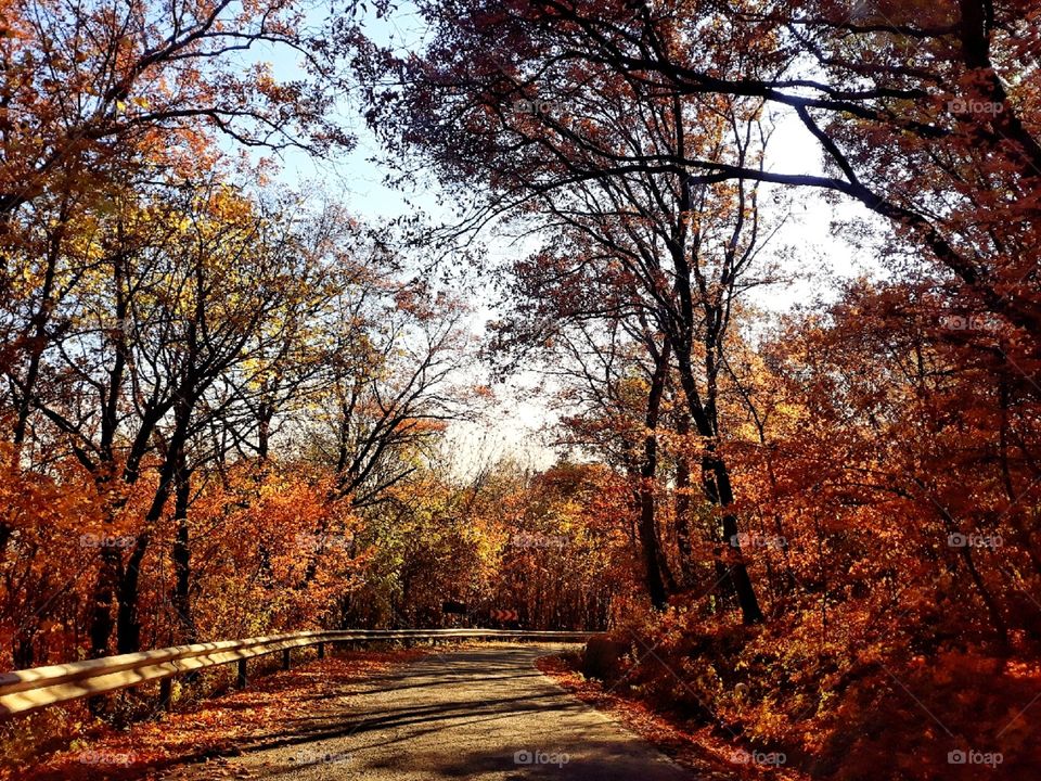 Autumnal atmosphere on the road