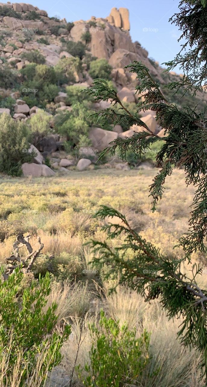 Nature in Mount Maysan🇸🇦