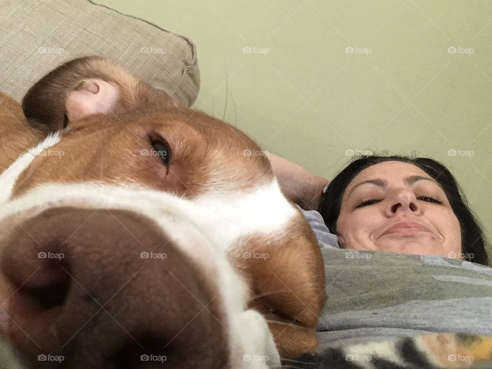 My rescue dog keeping me company while I’m sick