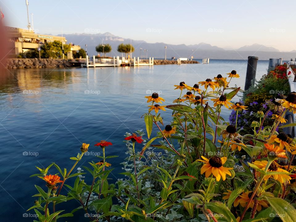 lakeside view in the evening lac leman