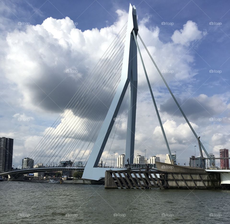 Erasmus Bridge in Rotterdam and skyline