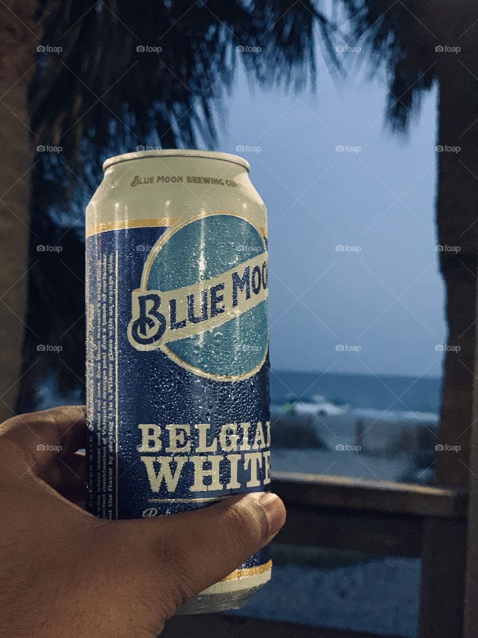 Blue moon beer 