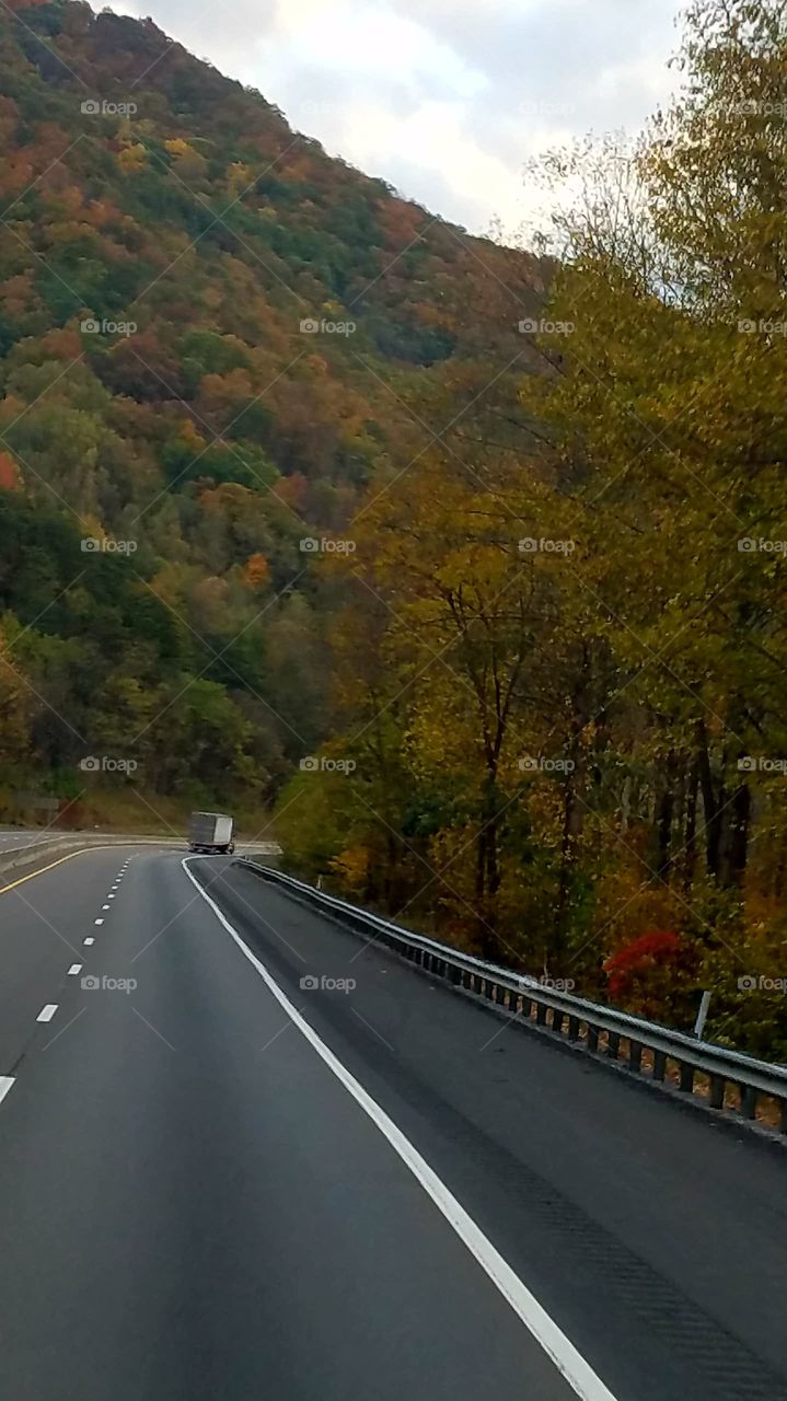 autumn in the Gorge