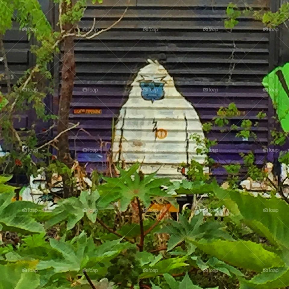 Graffiti cartoon of a white ape on the side of a train car framed by plants along the track
