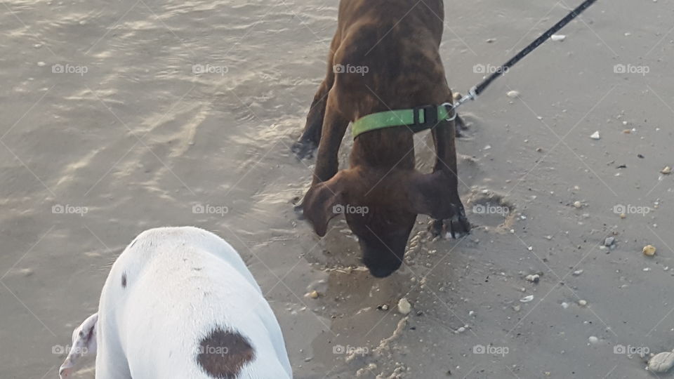 First day at the beach