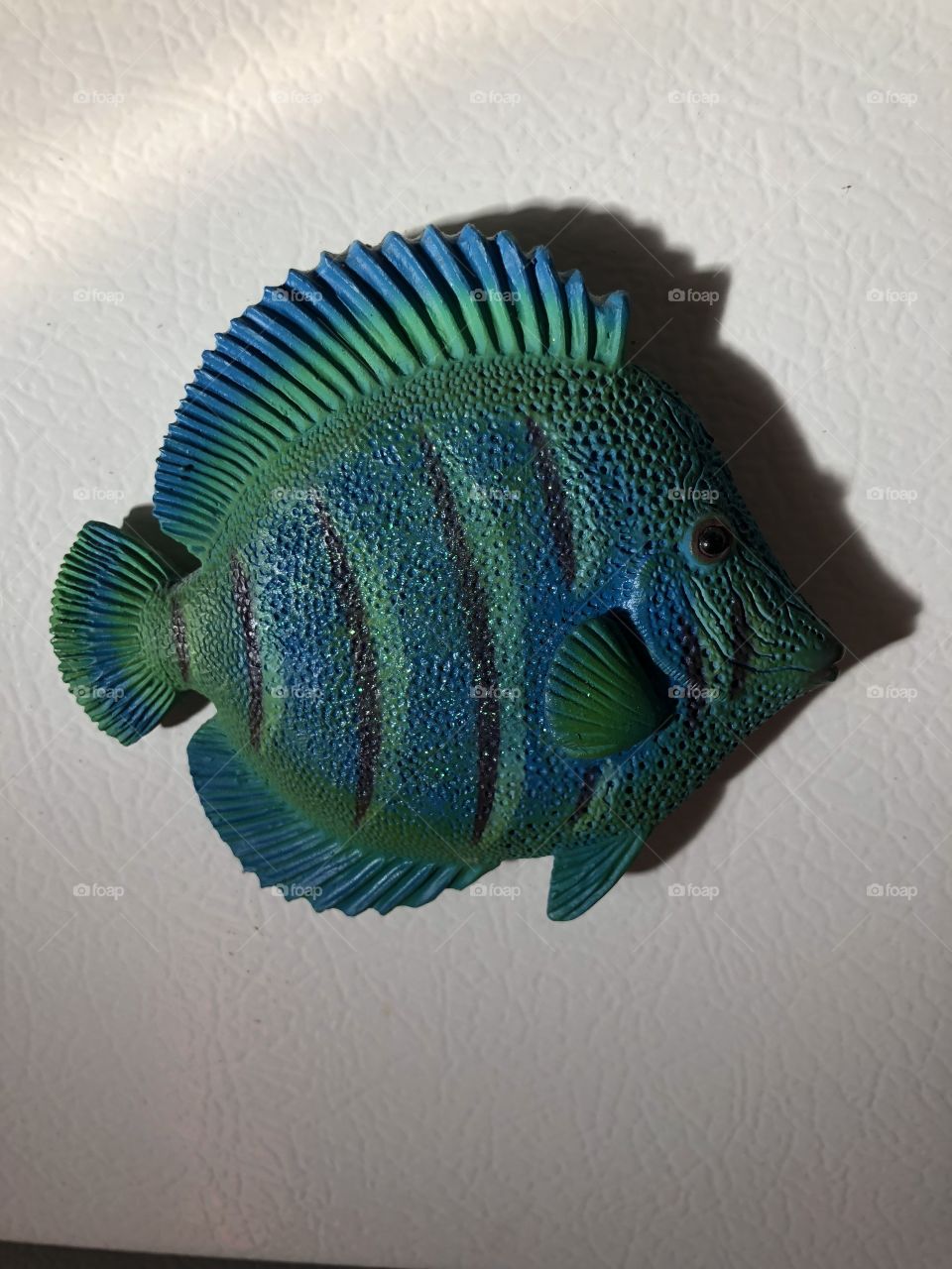 A beautiful fish magnet