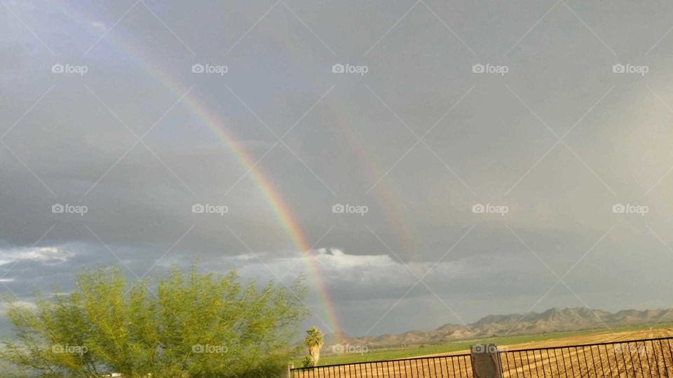 Arizona rainbow