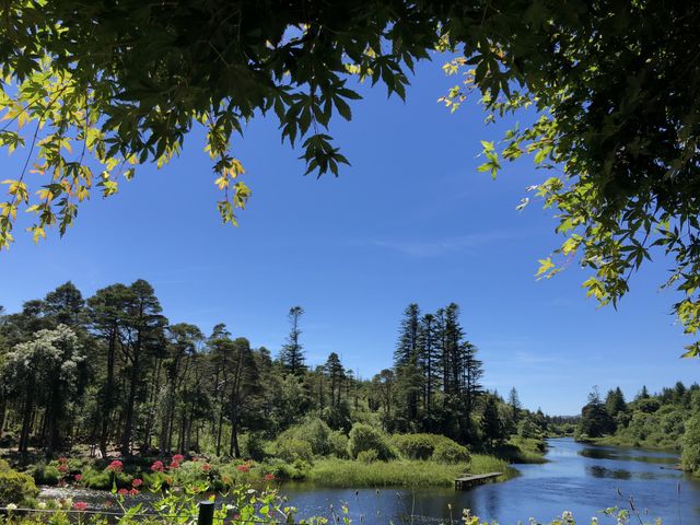 River scene Ireland