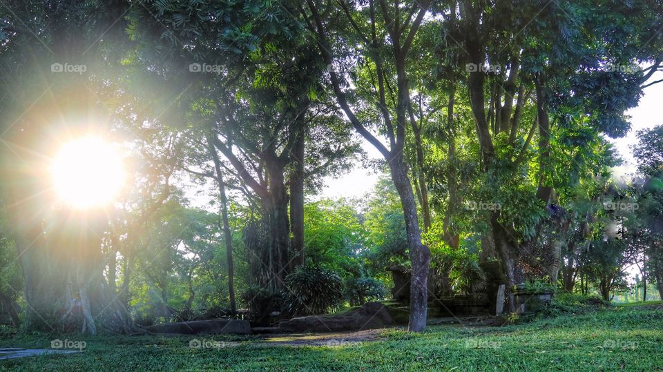 Spooky spot inside the Prambanan temple compound, near Jogjakarta, Indonesia