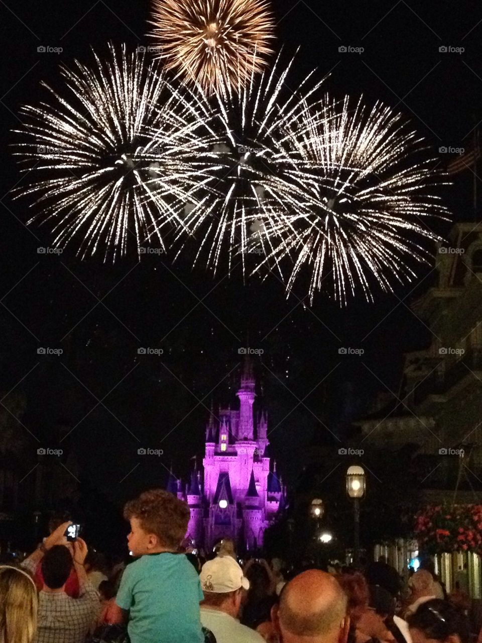 Disney Princess Castle Fireworks Florida
