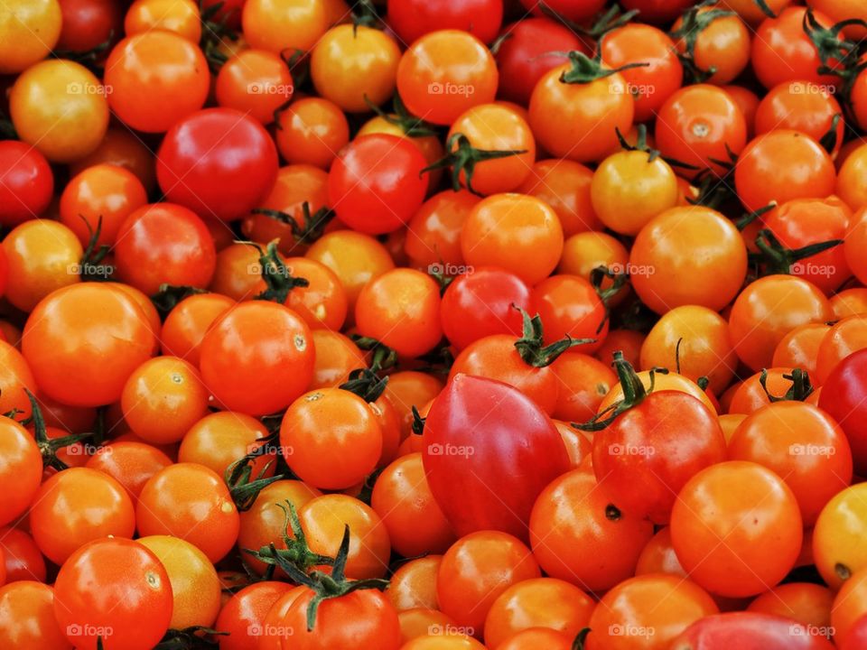 Fresh Tomatoes