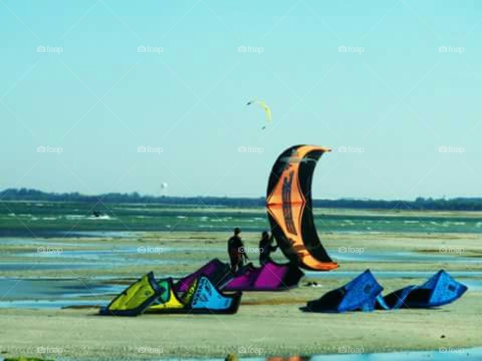 windsurfers on Tampa Bay