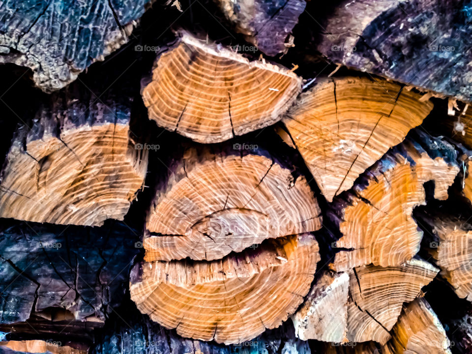Closeup of logs with a great clash of dark and light brown colors within a woodpile. 