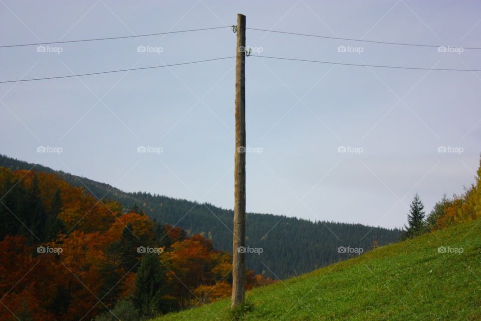 Landscape, Tree, No Person, Wood, Mountain