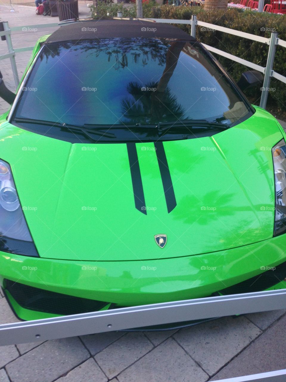 Dream Car

Published by:
HappyBrownMonkey 