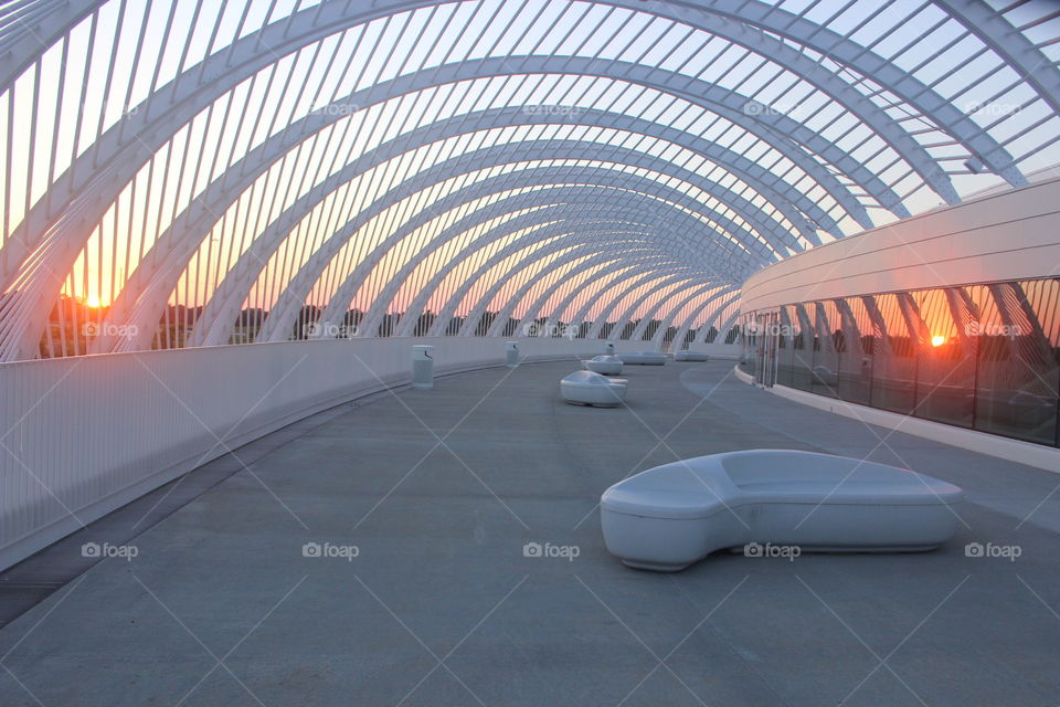 Florida polytechnic college 