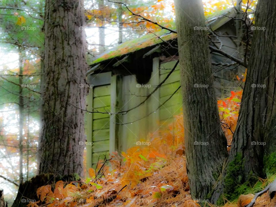 Dilapidated Outhouse