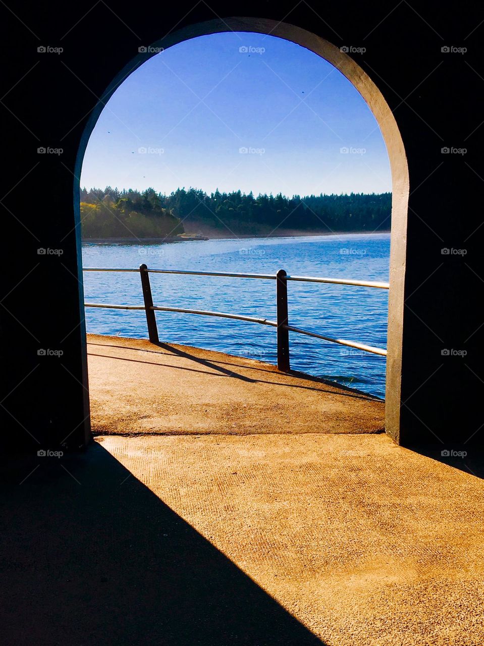 From the dark to the light