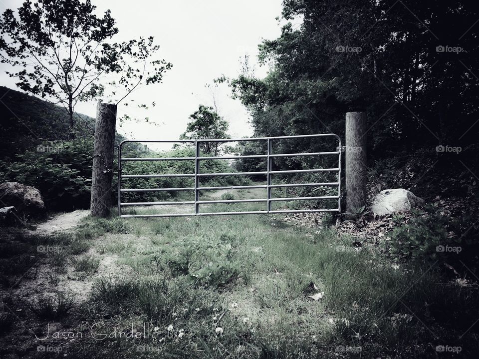 Beyond the gate
