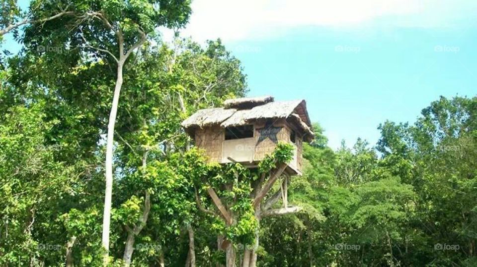 A tree house for rent when in the village.