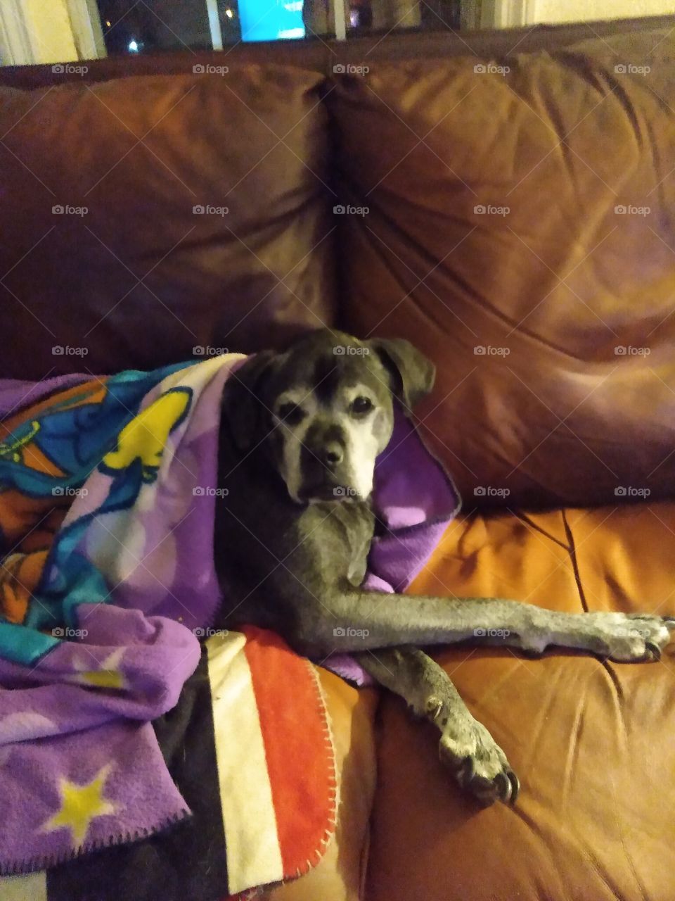 why are you taking another picture can't you tell I'm taking life easy? I'm gonna live another day.