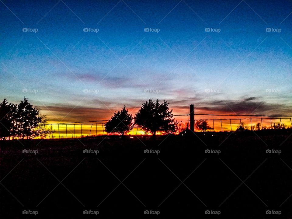 Sunset Fence