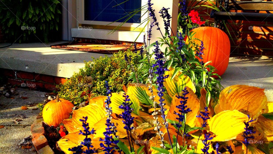 October doorstep decoration Grosse Pointe Woods Michigan home porch pumpkins
