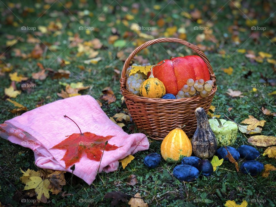 Autumn still life