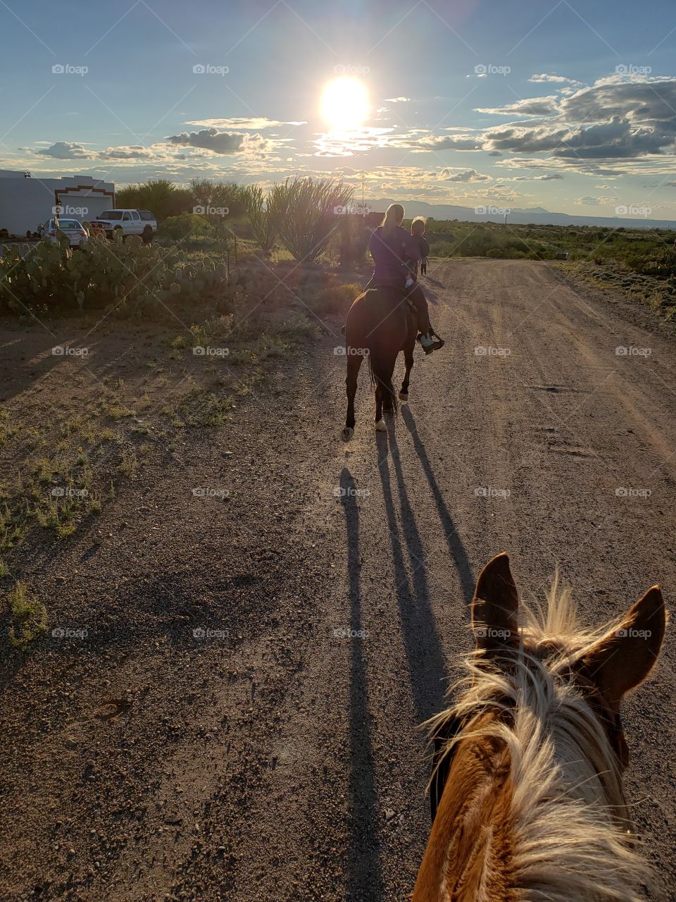 riding into the sunset