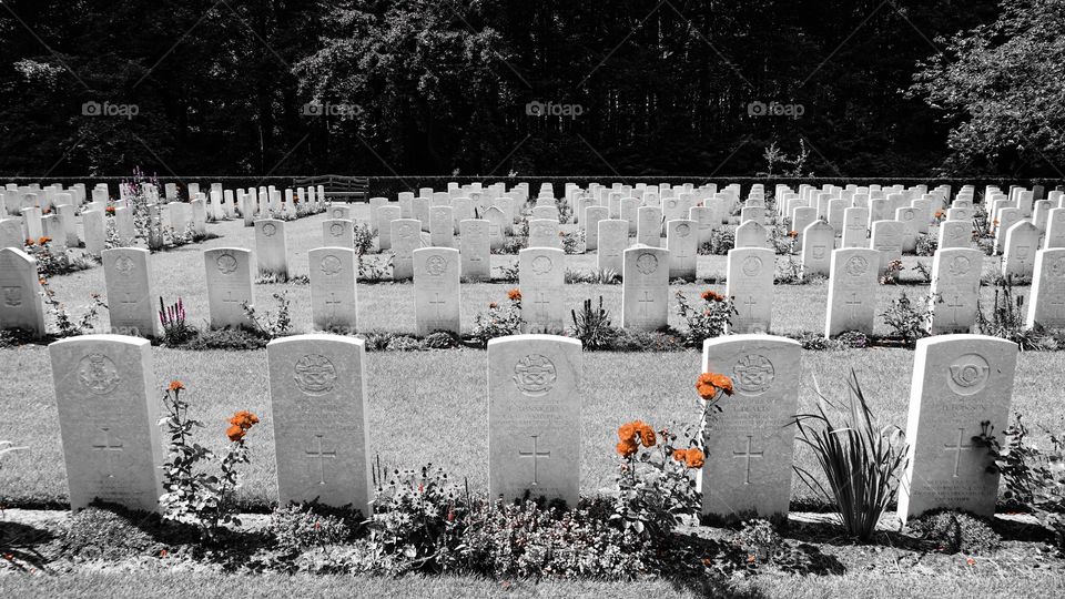 War Graves in Antwerp.