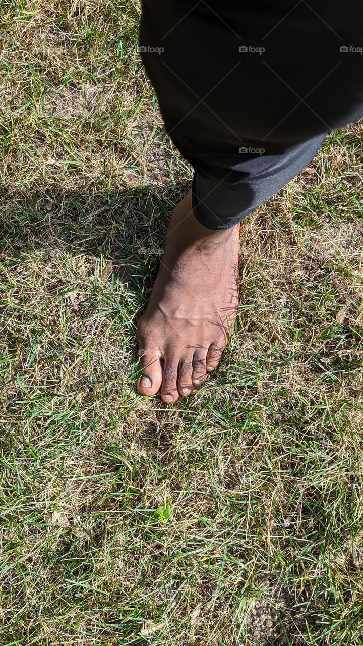 Beautiful black feet in grass 🐾