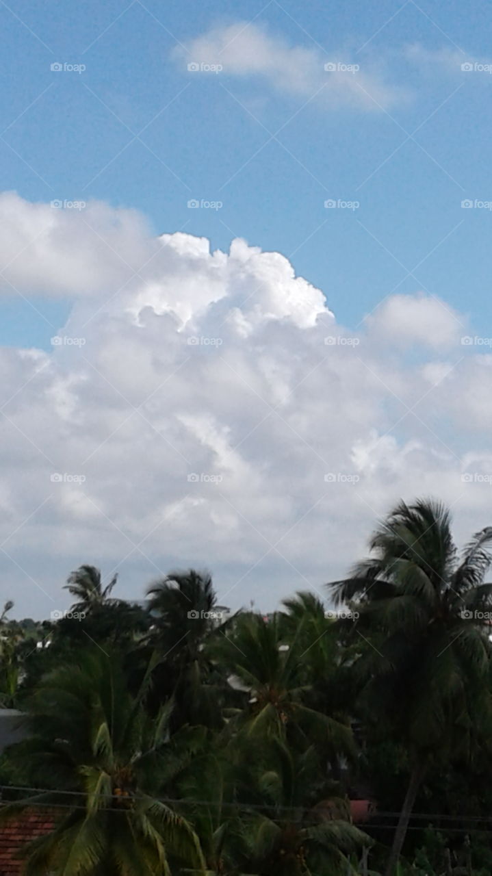 sky and clouds disng