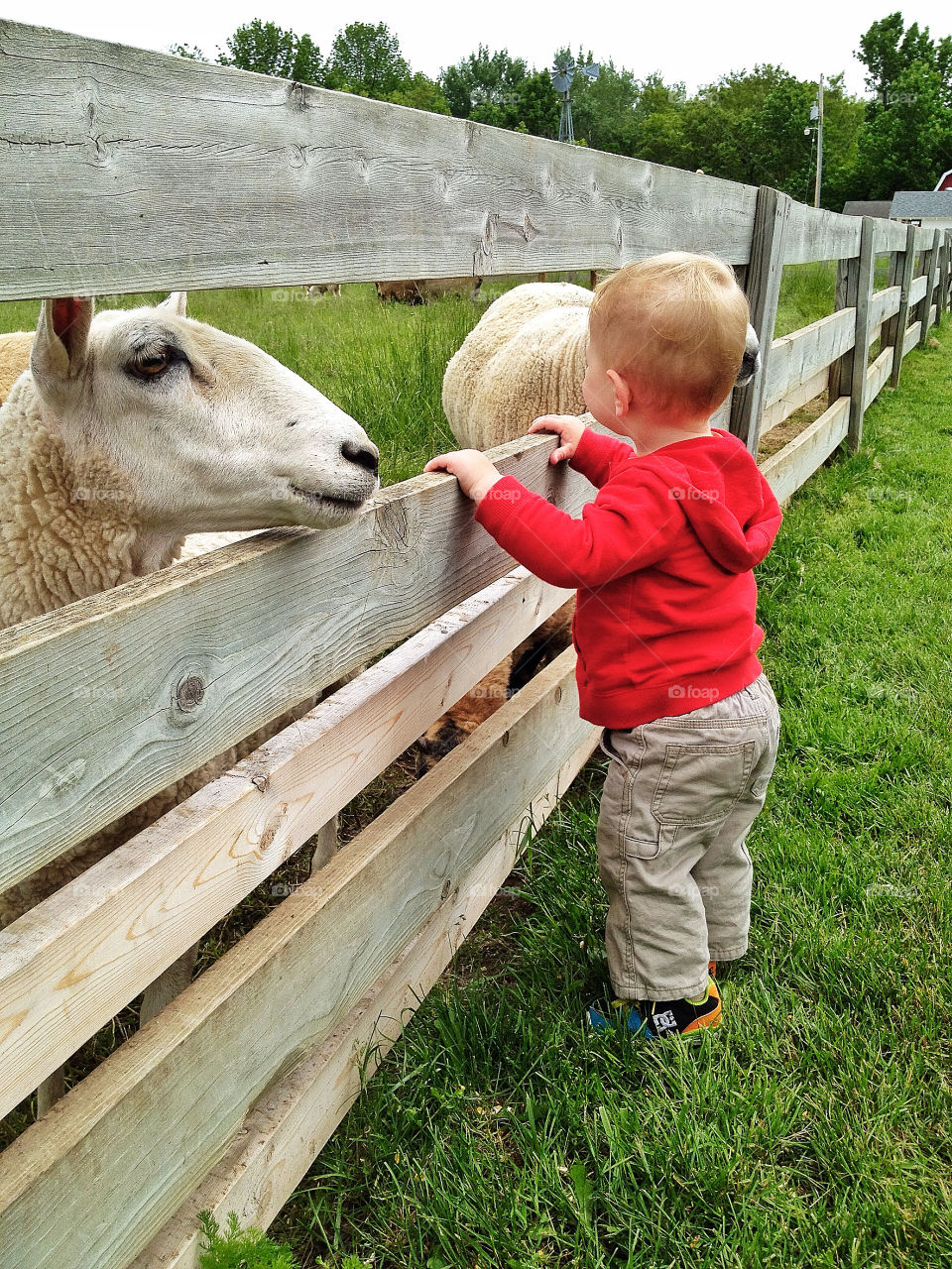 green yellow nature red by somebeach