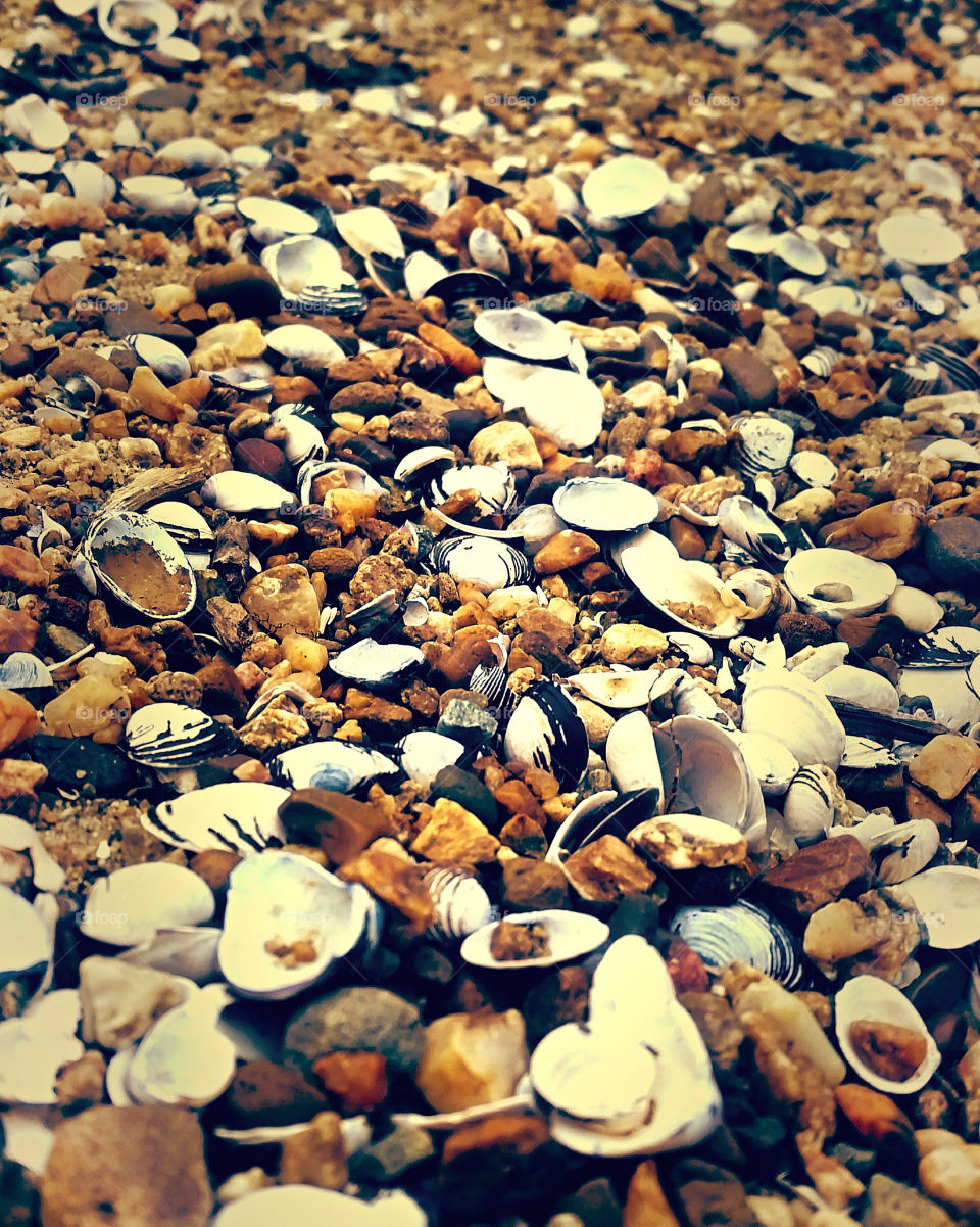 scattered amongst rocks