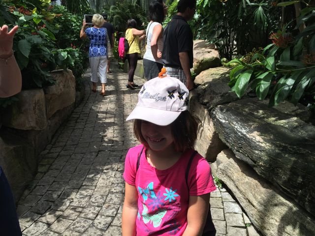 Butterflies fly away 
Botanical gardens 
Niagara Falls Canada 