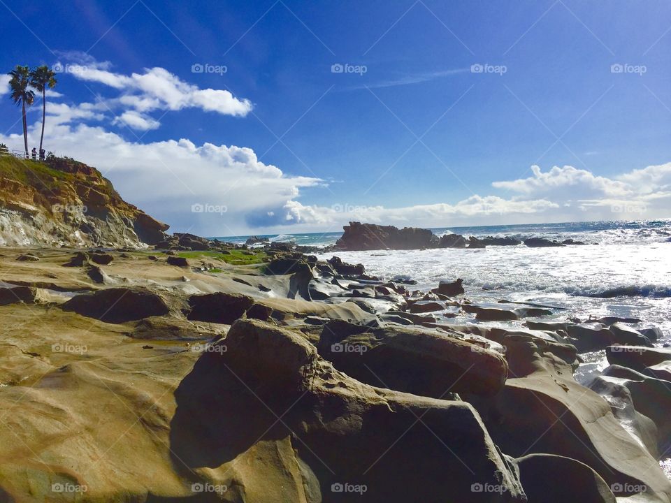 Tide pool Beach 