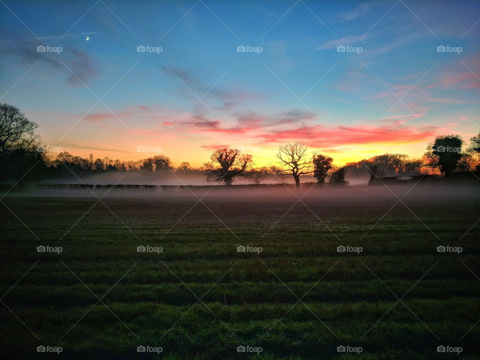 Mist rolling over a field at sunset