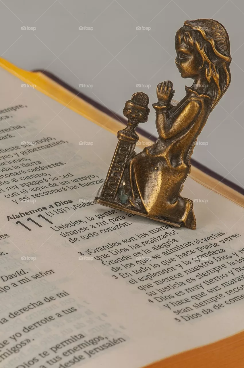 Girl figure reading the Holy Bible with reading