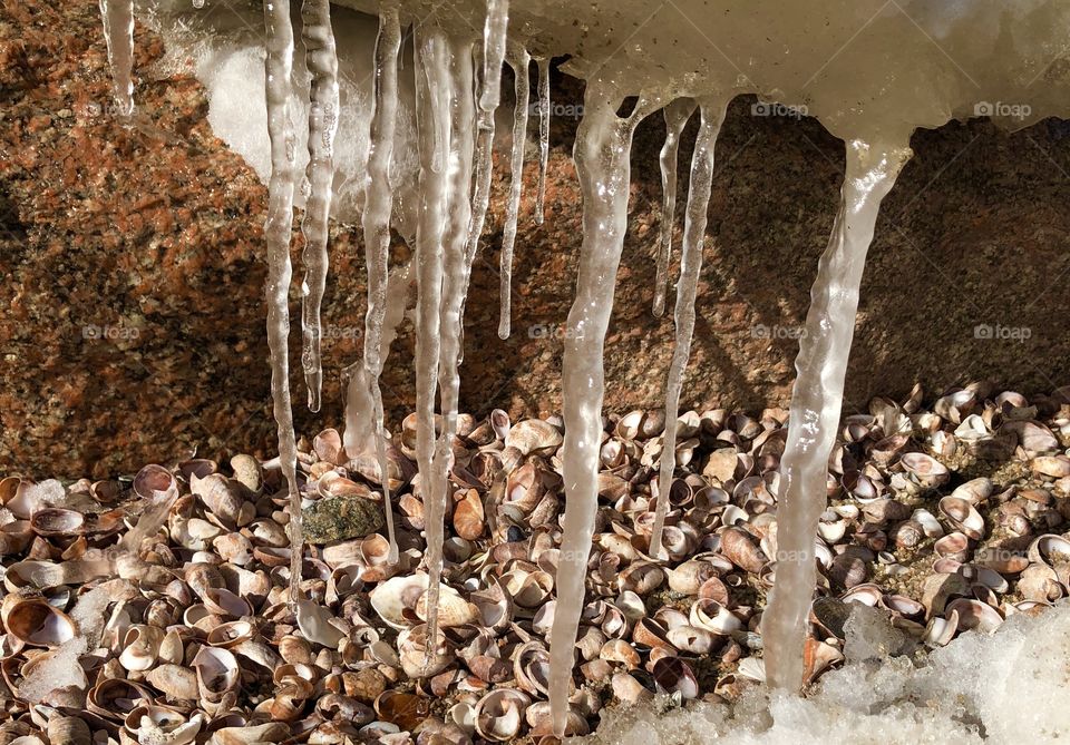 Icy day at the beach