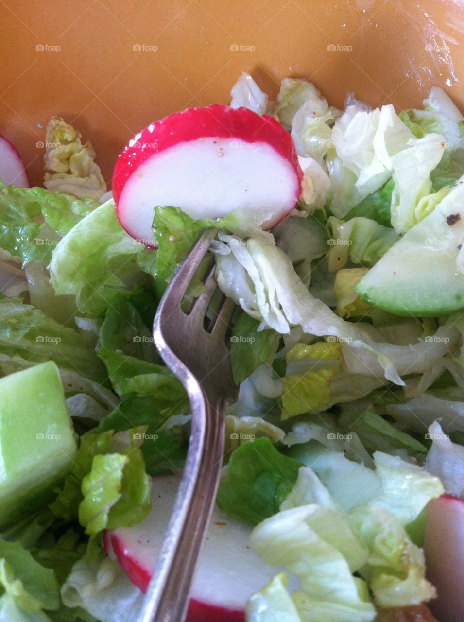 Salad with fork and radish