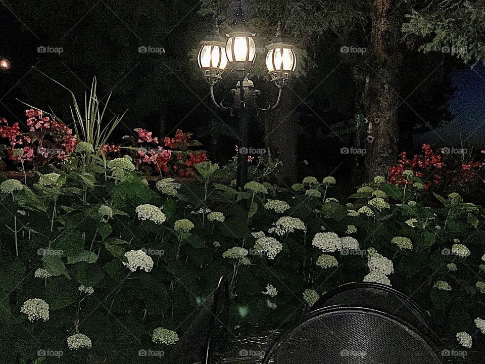 Lanterns in the night