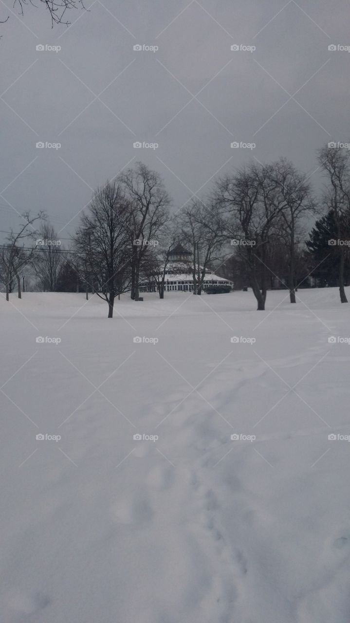Crescent Park Carousel by Noel
