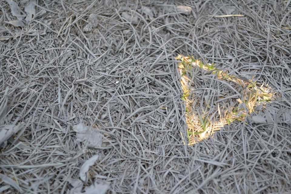 Triangle in Gray Grass