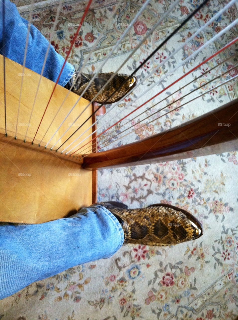 Playing Harp with snakeskin boots