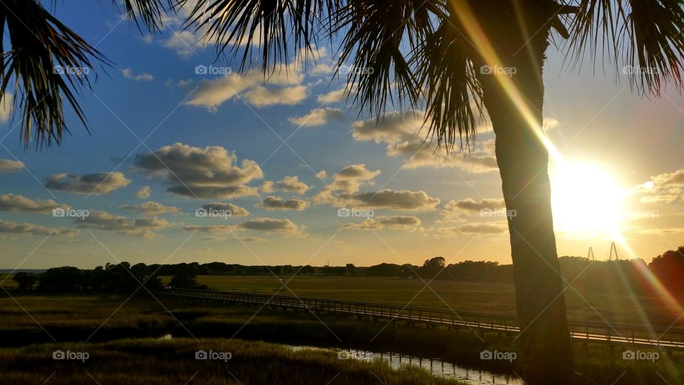 Vickery's dock sunset