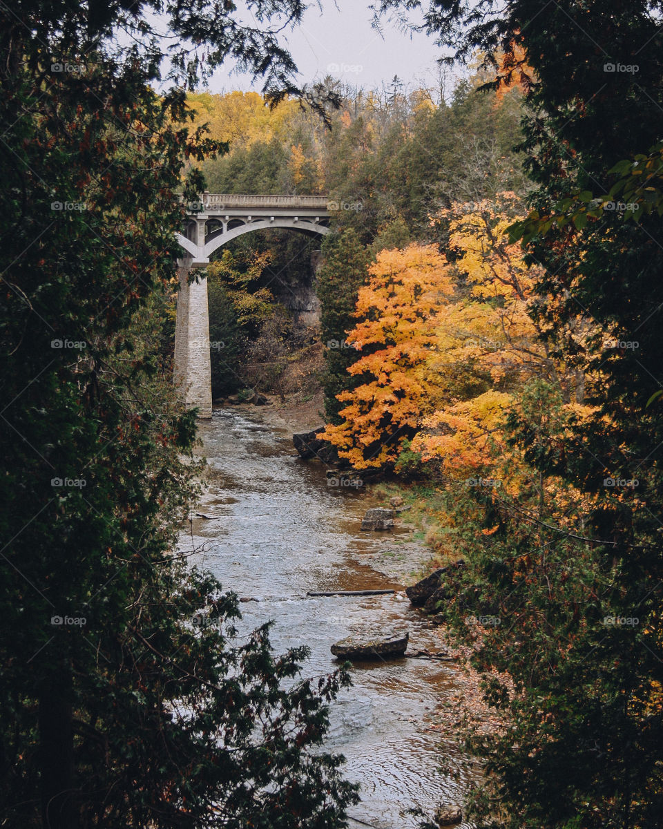Autumn hike in elora