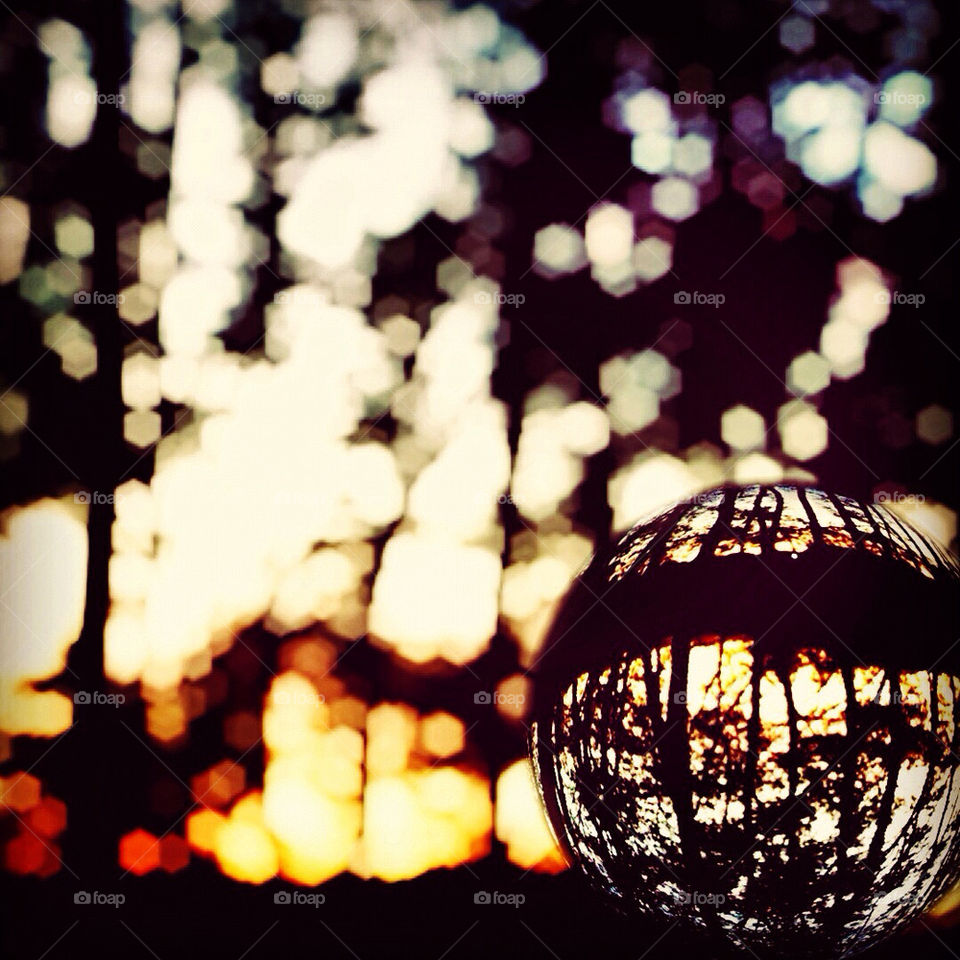 sky light trees shadows by graphidyliik